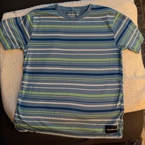 Calvin Klein Kids Blue and Green Striped Tee